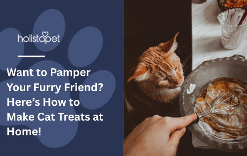 Want to Pamper Your Furry Friend? Here’s How to Make Cat Treats at Home!