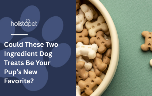 Could These Two Ingredient Dog Treats Be Your Pup’s New Favorite?