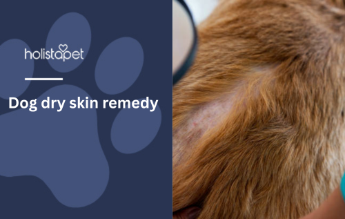 Dog dry skin remedy