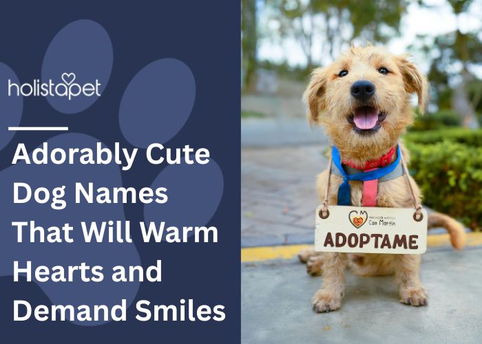 Adorably Cute Dog Names That Will Warm Hearts and Demand Smiles