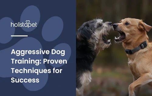 Two dogs bearing teeth at each other about to fight.