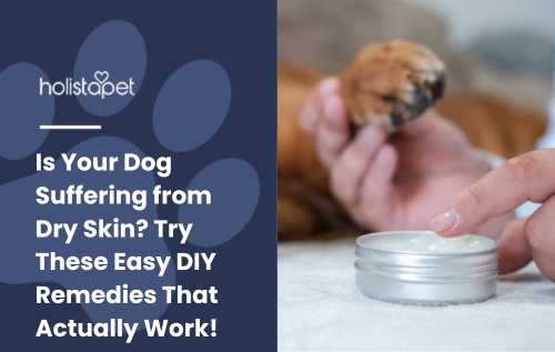 Is Your Dog Suffering from Dry Skin? Try These Easy DIY Remedies That Actually Work!