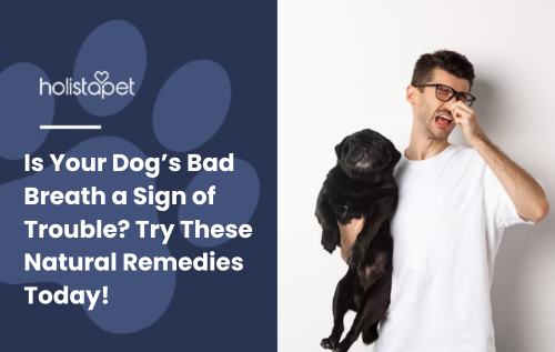 Is Your Dog’s Bad Breath a Sign of Trouble? Try These Natural Remedies Today!