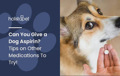 Tips on Aspirin for Dogs