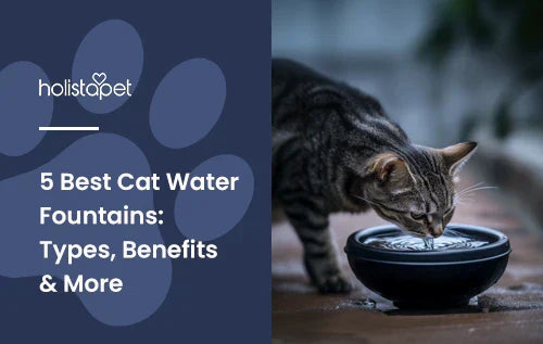 A cat drinking water out of a cat water fountain.