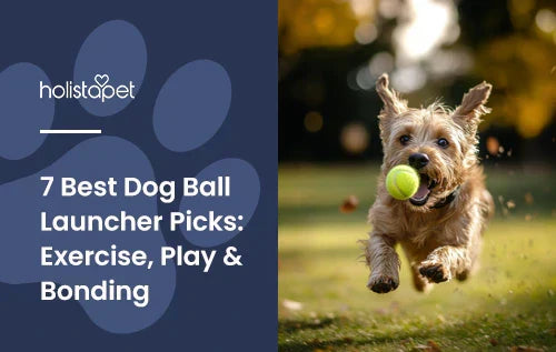 A small brown dog chasing after a tennis ball outside.