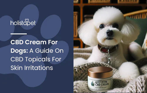 Guide for using CBD Cream on Dogs