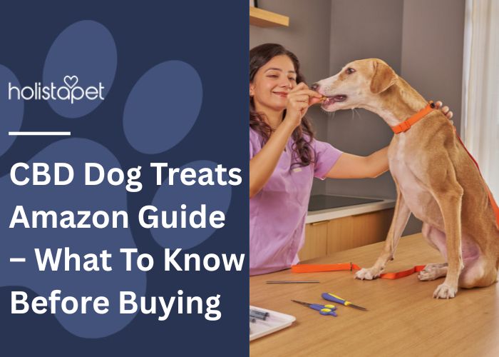 CBD Dog Treats Amazon Guide – What To Know Before Buying