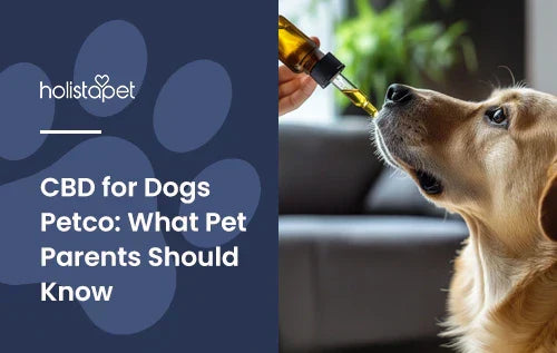 Blog banner: golden retriever taking oil from a dropper, text 'CBD for Dogs Petco'.