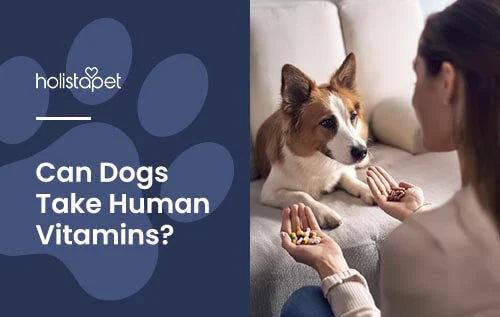 Human Vitamins for dogs