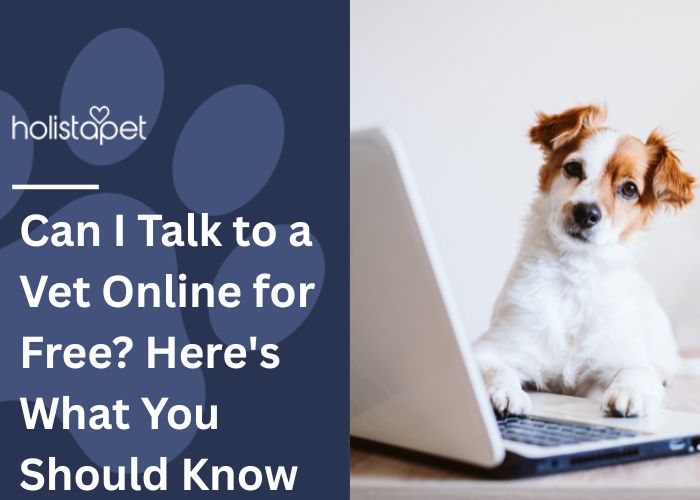 Can I Talk to a Vet Online for Free Featured Image by Holistapet