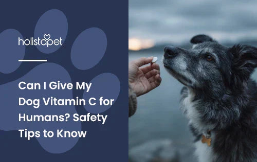 A person giving an older dog a vitamin C pill with the title "Can I give my dog vitamin c".