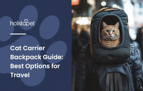 A cat in a cat carrier backpack on a person's back.