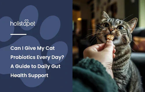 A cat eating a probiotic treat out of a person's hand.