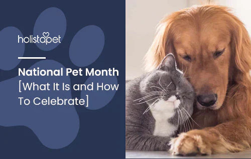When Is National Pet Month