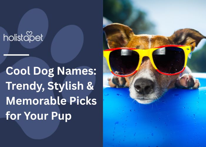 Cool Dog Names: Trendy, Stylish & Memorable Picks for Your Pup