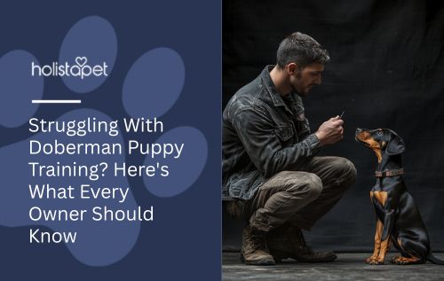 Struggling With Doberman Puppy Training? Here's What Every Owner Should Know