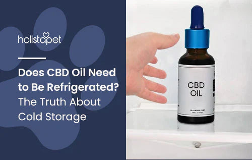 Do you need to store CBD in fridge?