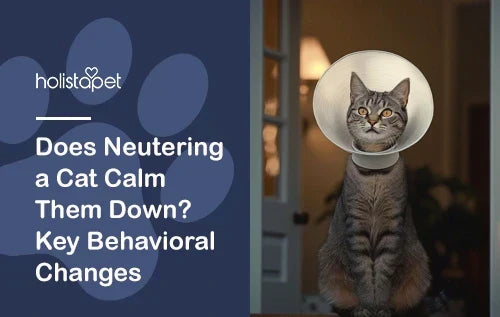 What does neutering does to a cat?
