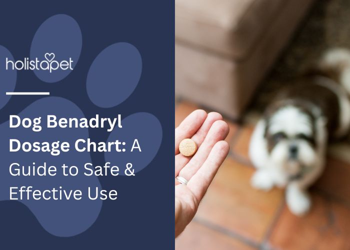 Dog Benadryl Dosage Chart Featured Blog Image by HolistaPet. Shows a person's hand holding a Benadryl pill above a dog.