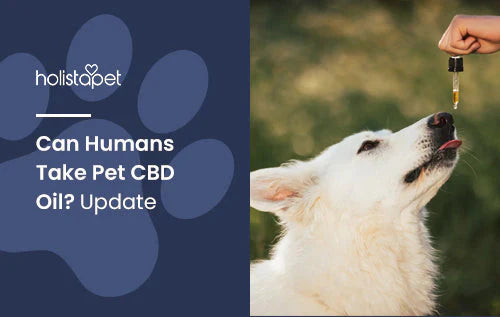 Can humans take Dog's CBD oil