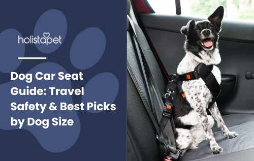 Dog Car Seat Guide featured blog image by HolistaPet. Shows a happy dog buckled into a car seat with a safety harness.