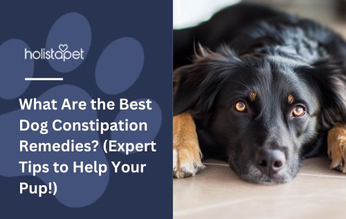 What Are the Best Dog Constipation Remedies? (Expert Tips to Help Your Pup!)