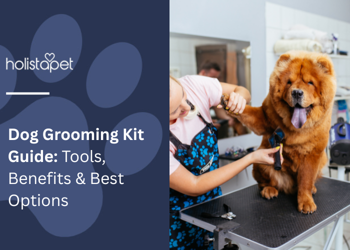 Dog Grooming Kit Guide Featured blog image by Holistapet. Shows a groomer trimming a fluffy dog’s fur on a grooming table, highlighting essential grooming tools.