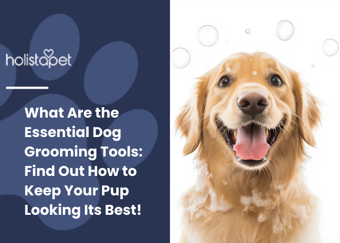 a golden retriever with bubbles