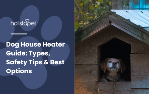Dog House Heater Guide featured blog image by Holistapet. Shows a small dog sitting inside a wooden dog house, highlighting the need for warmth and shelter.