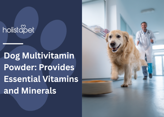 Dog Multivitamin Powder Feature Image by Holistapet