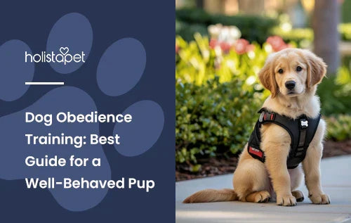 A Golden Retriever puppy sitting down outside with a service dog vest on.