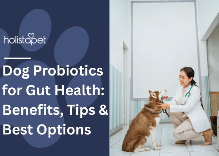 Dog Probiotics for Gut Health: Benefits, Tips & Best Options