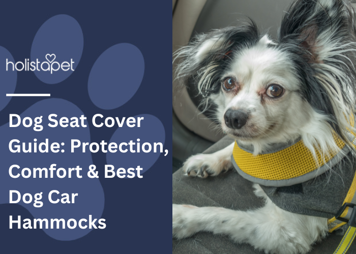 Dog Seat Cover Feature Image by Holistapet