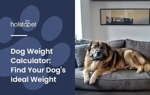 Dog Weight Calculator: Find Your Dog's Ideal Weight