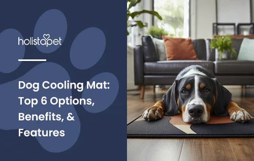 A black, white, and brown dog laying down on a cooling mat.