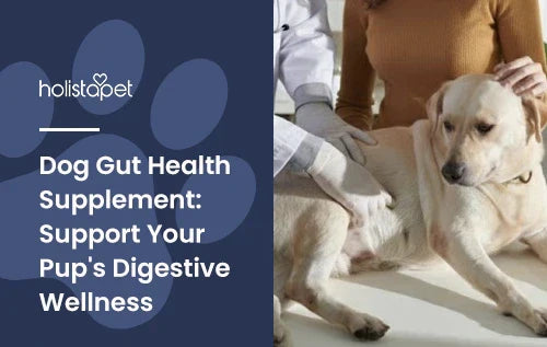 A golden retriever laying on a vet's table.