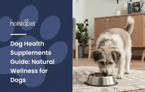 A small dog eating food out of a dog bowl.