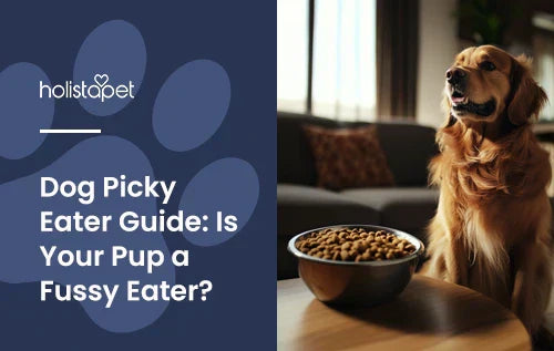 A golden retriever sitting next to a full bowl of dog food.