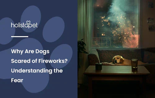 A golden retriever laying down on a couch in a living room and fireworks in the background window.