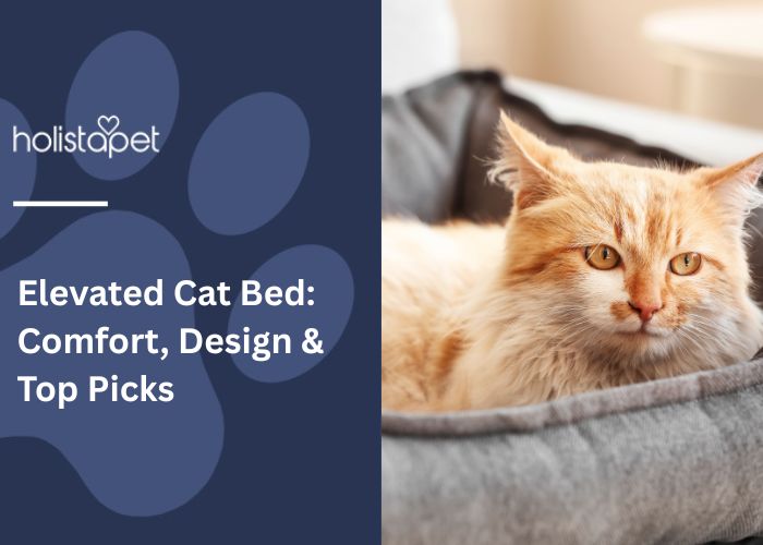 Fluffy orange cat relaxing in a soft elevated bed.