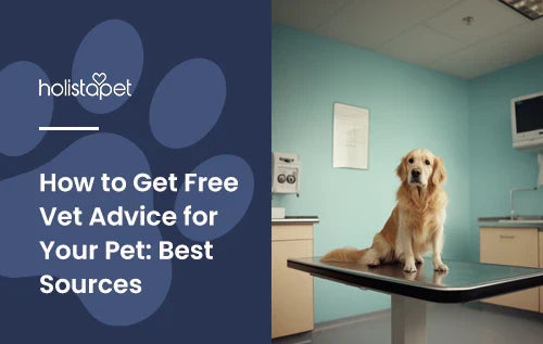 A dog sitting on a vet's table with a title of "How to get free vet advice for your pet".