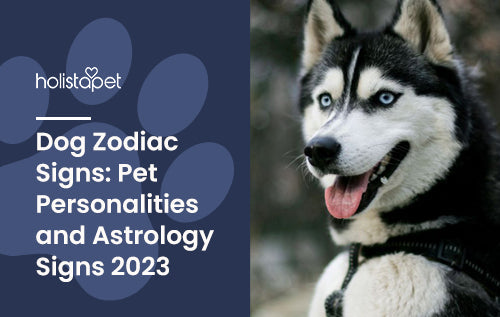 Zodiac signs for your pet dog and knowing their personalities
