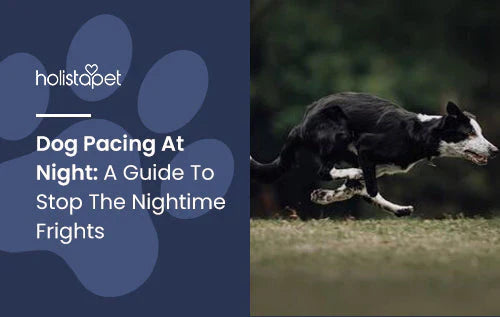 Nighttime Dog pacing Guide