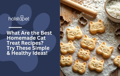 A bunch of cat shaped homemade cat treats.