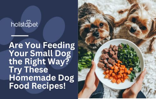 Two small dogs looking up at a bowl of homemade dog food.