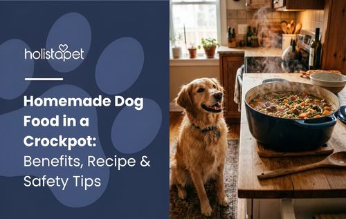 A golden retriever sits beside a casserole dish, highlighting homemade dog food in a crockpot in a cozy kitchen setting