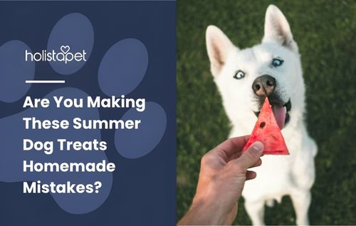 Are You Making These Summer Dog Treats Homemade Mistakes?