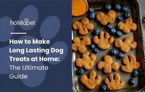A baking sheet filled with dinosaur-shaped cookies and fresh blueberries.