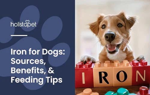 Benefits of Iron for Dogs